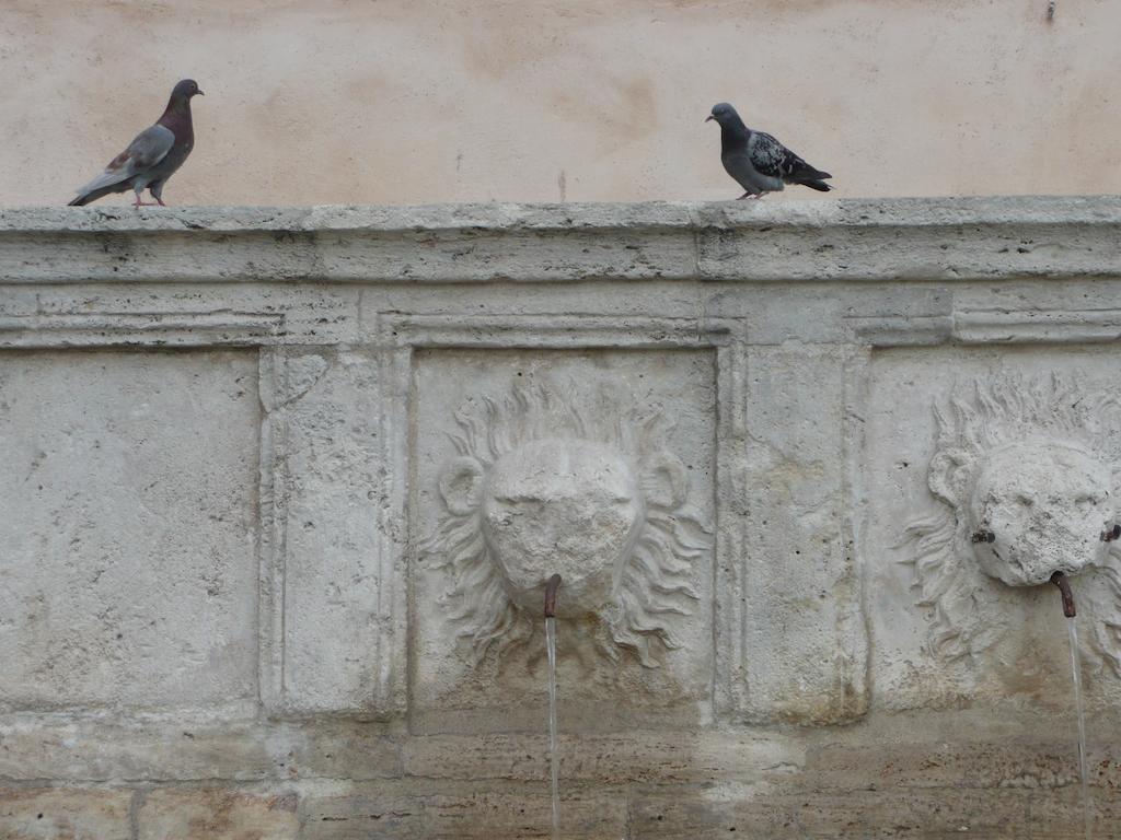 Villa Rosy Assisi Esterno foto