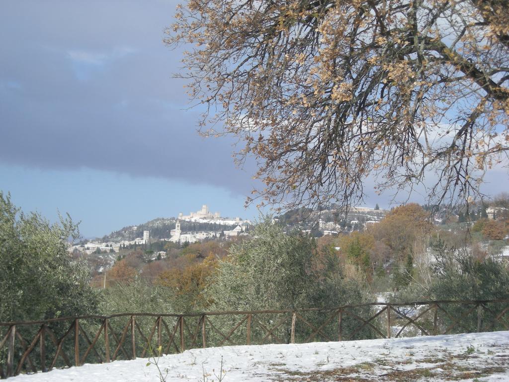 Villa Rosy Assisi Esterno foto
